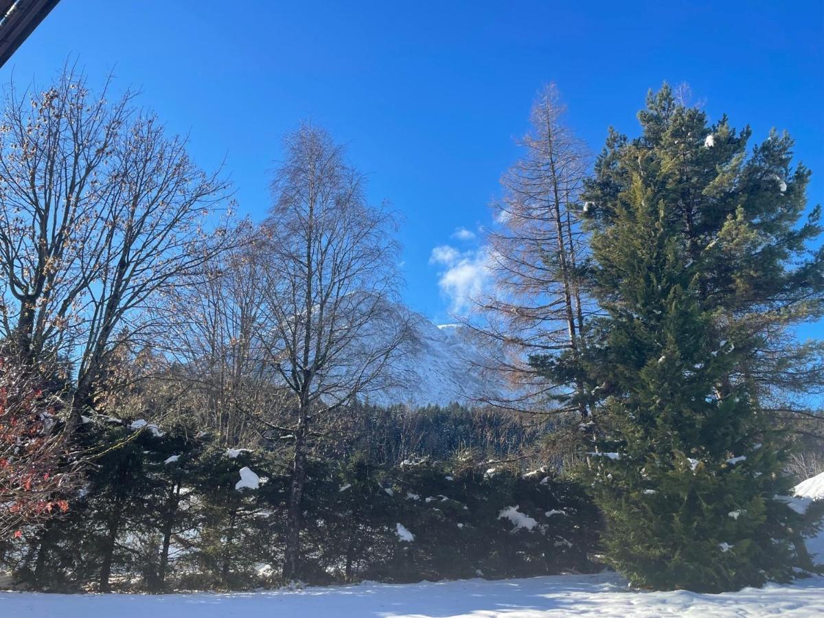 Appartamento W2 Haus Ganghofer Leutasch Esterno foto